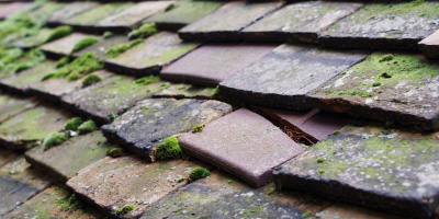 Langstone roof repair costs